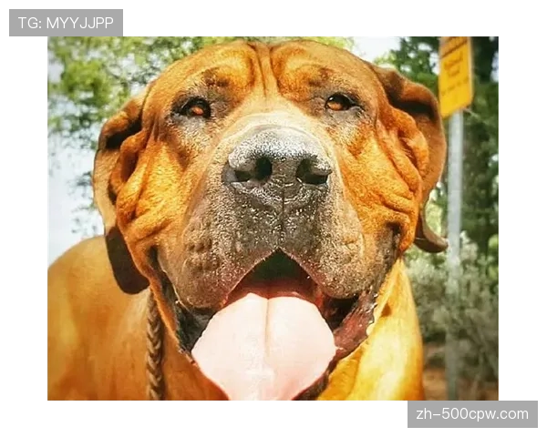 摩纳哥场均拦截304次，通过积极拼抢破坏对手边路进攻